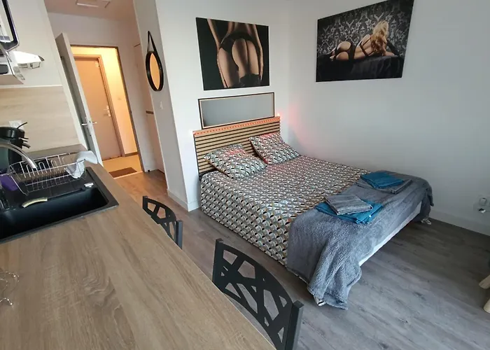 Naturiste Cap D'agde Port Venus 211 Daire